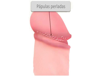 fale conosco tv globo  E o amor têm 4 coisas em comum